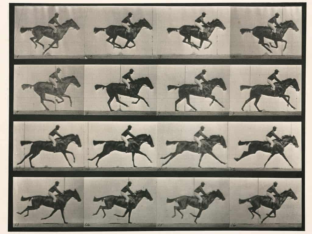 Galloping horse by Eadweard Muybridge